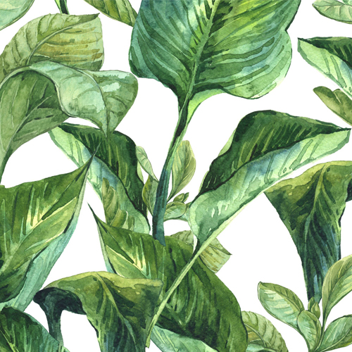 Botany